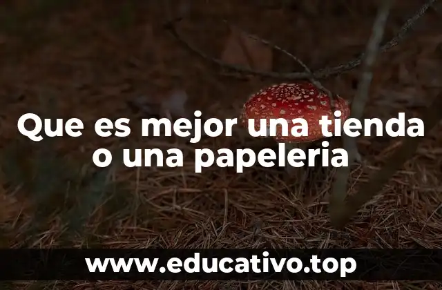 Que es mejor una tienda o una papeleria