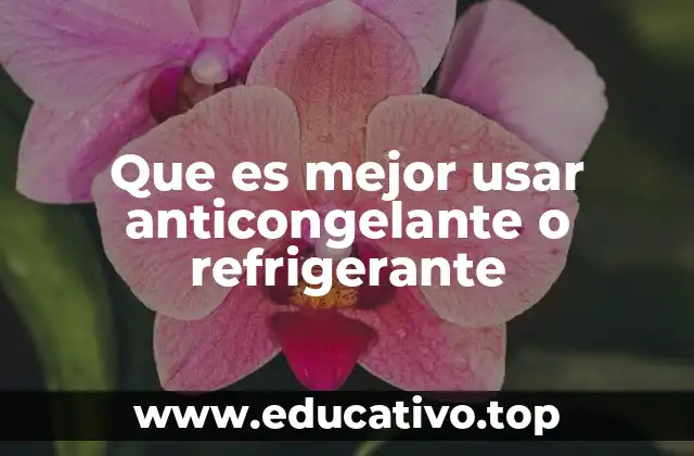 Que es mejor usar anticongelante o refrigerante