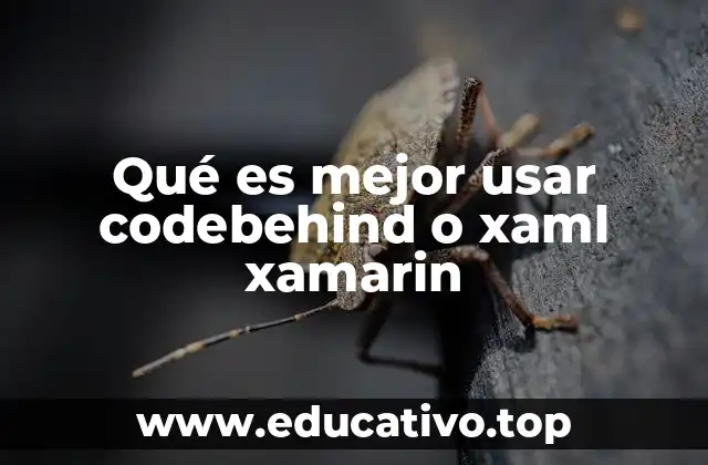 Qué es mejor usar codebehind o xaml xamarin