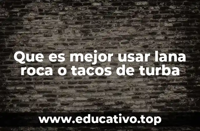 Que es mejor usar lana roca o tacos de turba