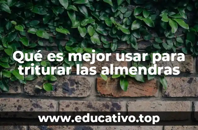 Qué es mejor usar para triturar las almendras