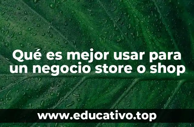 Qué es mejor usar para un negocio store o shop