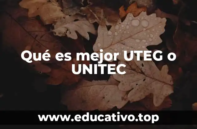 Qué es mejor UTEG o UNITEC
