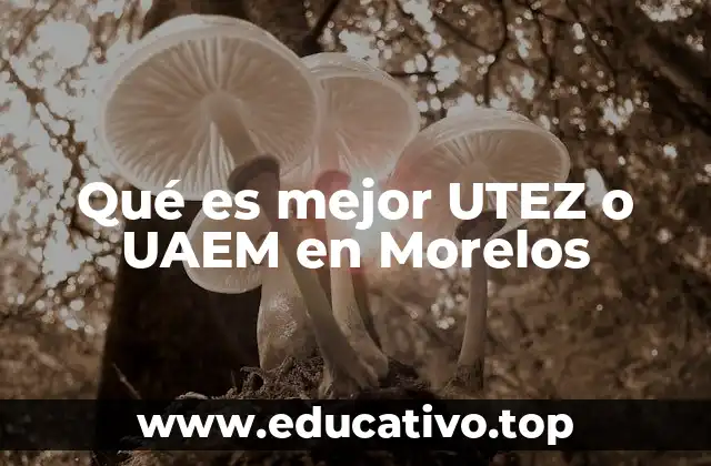 Qué es mejor UTEZ o UAEM en Morelos