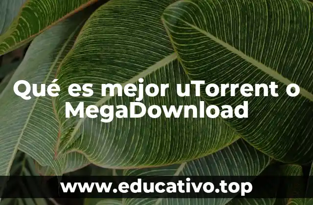 Qué es mejor uTorrent o MegaDownload