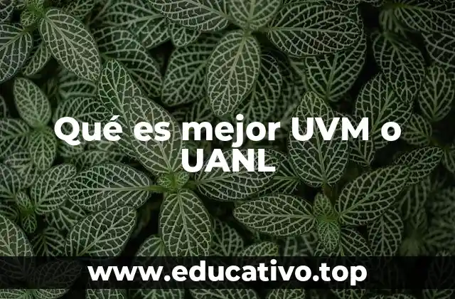 Qué es mejor UVM o UANL