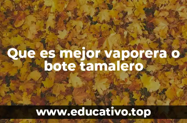 Diferencias clave entre vaporera y bote tamalero