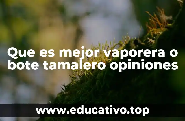 Que es mejor vaporera o bote tamalero opiniones