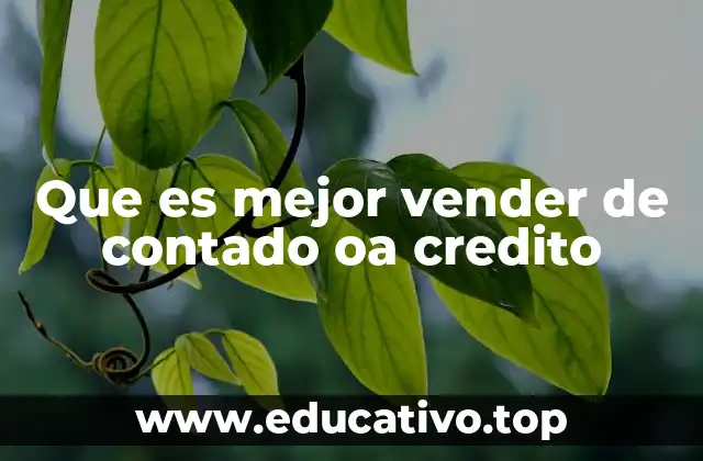 Que es mejor vender de contado oa credito