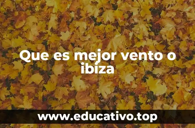 Que es mejor vento o ibiza