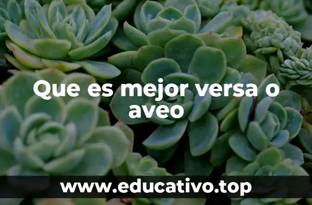 Que es mejor versa o aveo