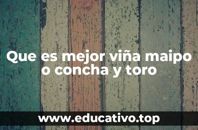 Que es mejor viña maipo o concha y toro
