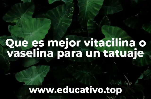 Que es mejor vitacilina o vaselina para un tatuaje