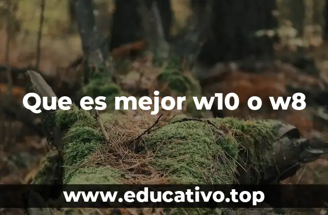 Que es mejor w10 o w8
