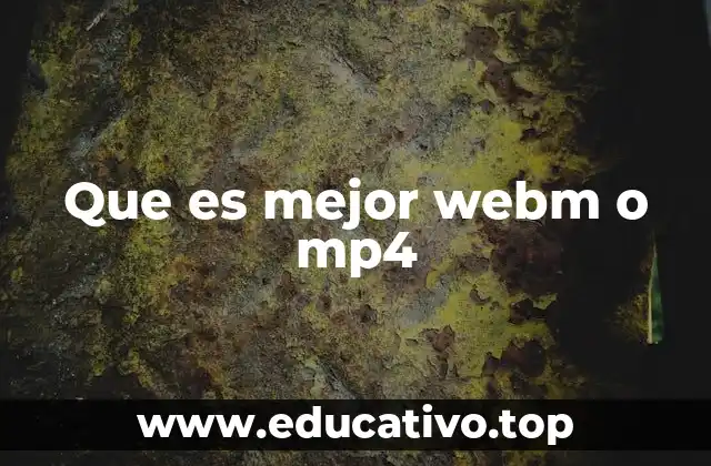 Que es mejor webm o mp4