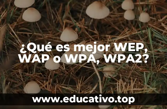 ¿Qué es mejor WEP, WAP o WPA, WPA2?