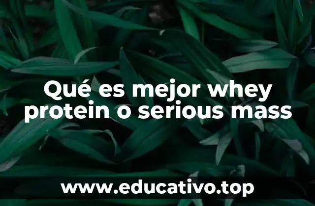 Qué es mejor whey protein o serious mass