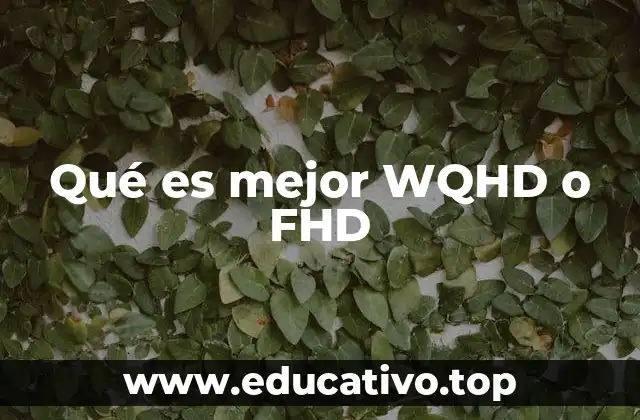 Qué es mejor WQHD o FHD