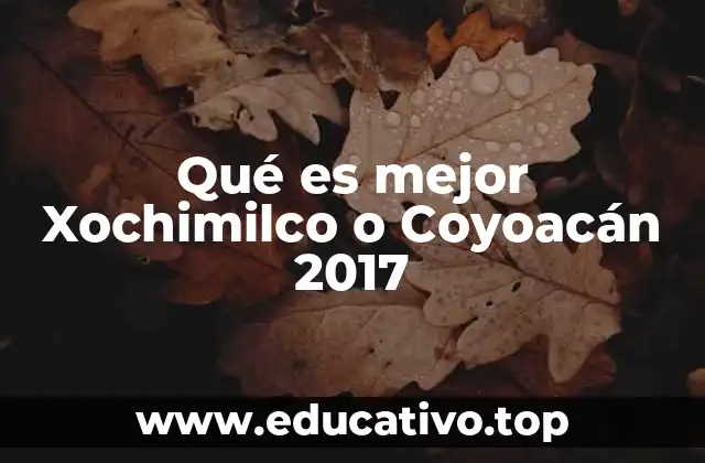 Qué es mejor Xochimilco o Coyoacán 2017