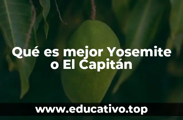 Diferencias clave entre los sistemas operativos de Apple