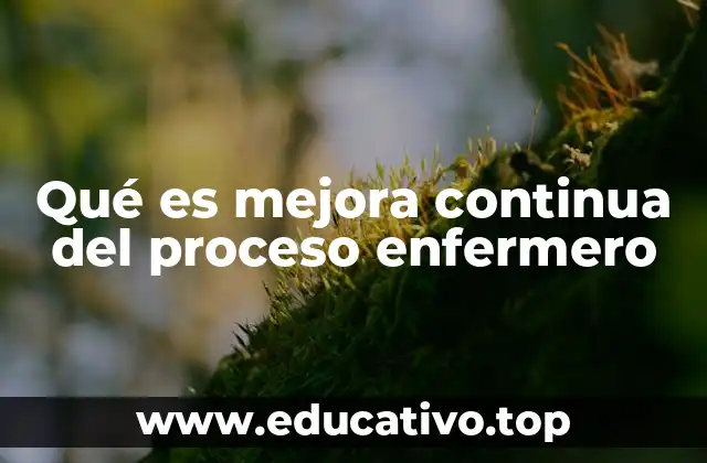 Qué es mejora continua del proceso enfermero