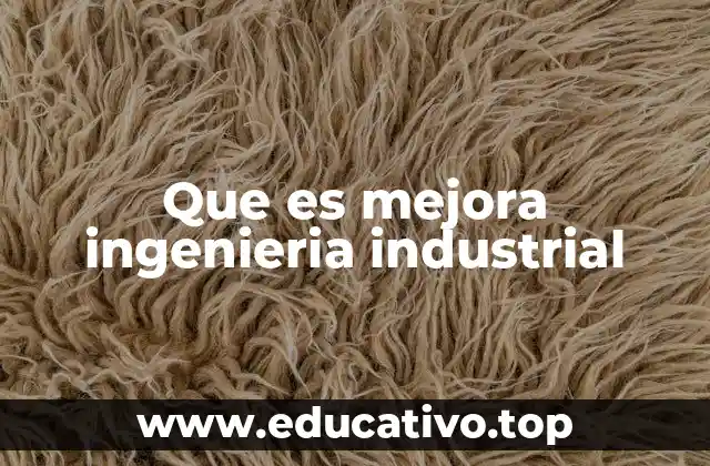 Que es mejora ingenieria industrial