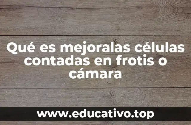 Qué es mejoralas células contadas en frotis o cámara