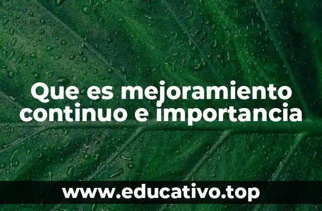 Que es mejoramiento continuo e importancia