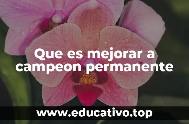 Que es mejorar a campeon permanente