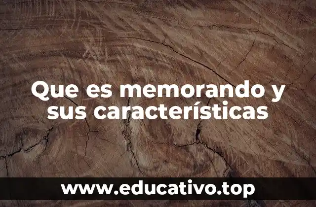 Que es memorando y sus características
