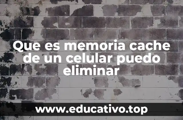Que es memoria cache de un celular puedo eliminar