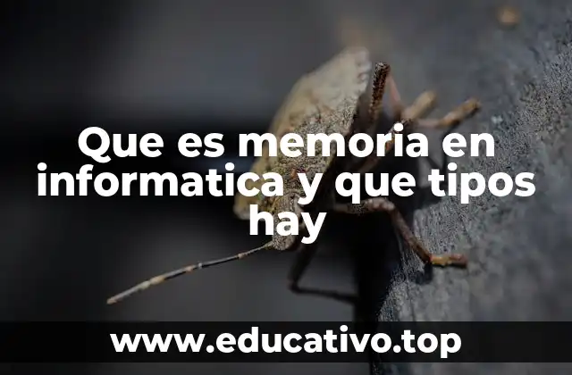 Que es memoria en informatica y que tipos hay
