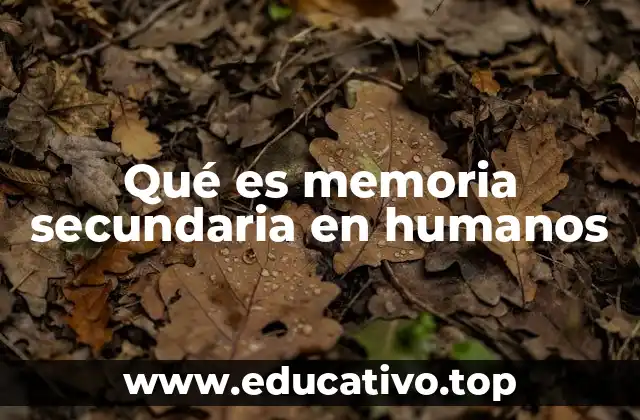 Qué es memoria secundaria en humanos