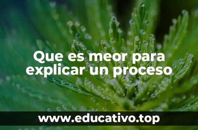 Que es meor para explicar un proceso