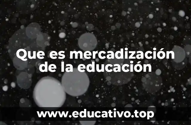 Que es mercadización de la educación