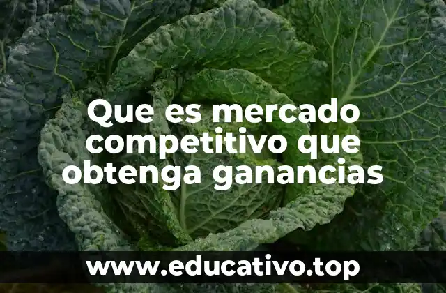 Que es mercado competitivo que obtenga ganancias