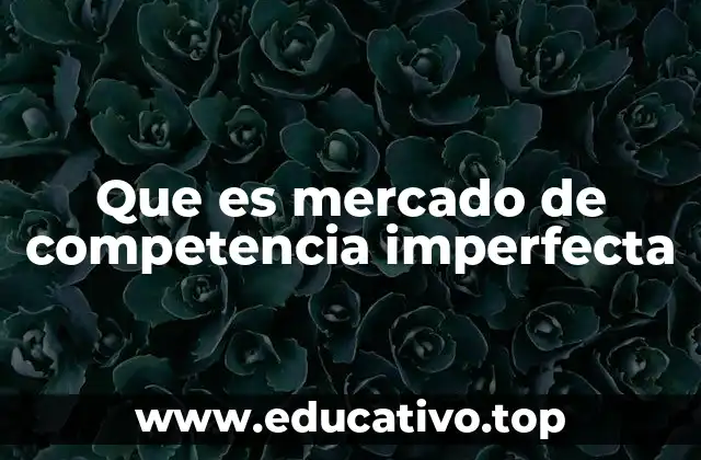 Que es mercado de competencia imperfecta