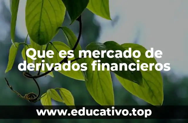 Que es mercado de derivados financieros