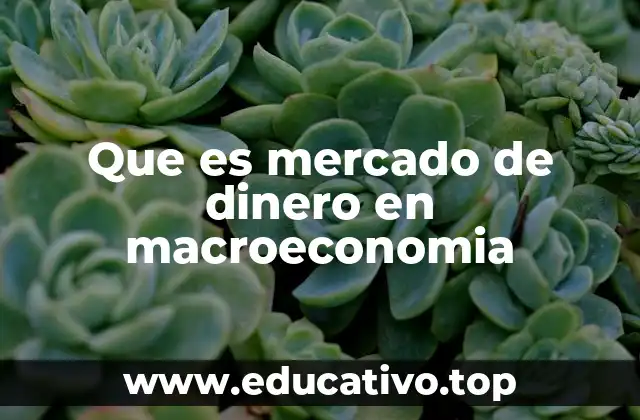 Que es mercado de dinero en macroeconomia