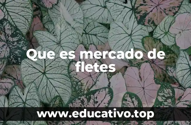 Que es mercado de fletes