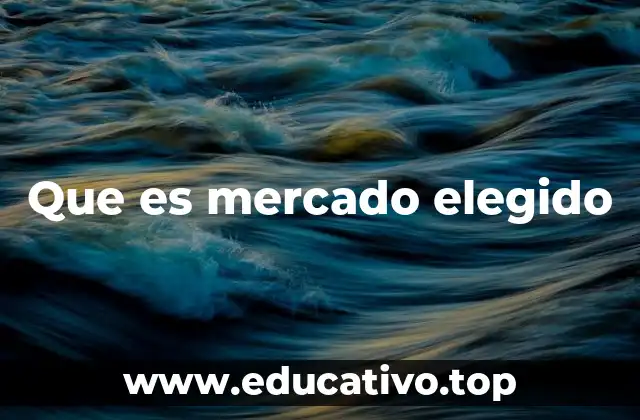 Que es mercado elegido