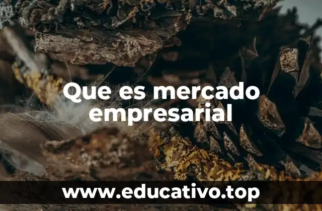 Que es mercado empresarial