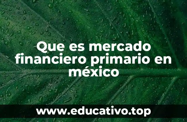 Que es mercado financiero primario en méxico