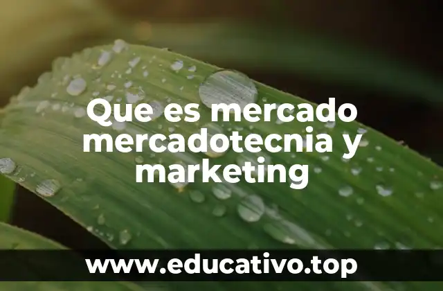 Que es mercado mercadotecnia y marketing