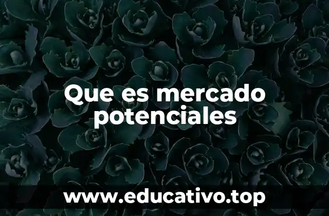Que es mercado potenciales