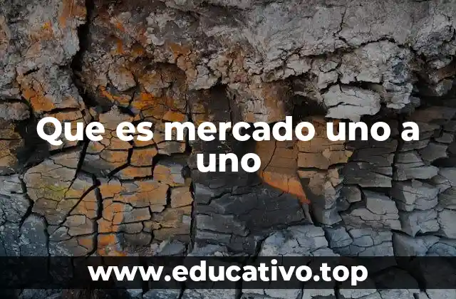 Que es mercado uno a uno