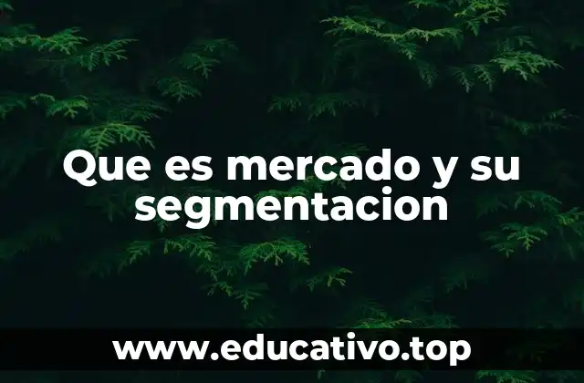 Que es mercado y su segmentacion