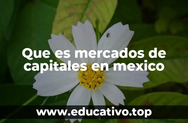 Que es mercados de capitales en mexico