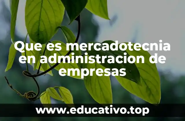 Que es mercadotecnia en administracion de empresas