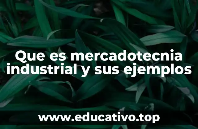 Que es mercadotecnia industrial y sus ejemplos